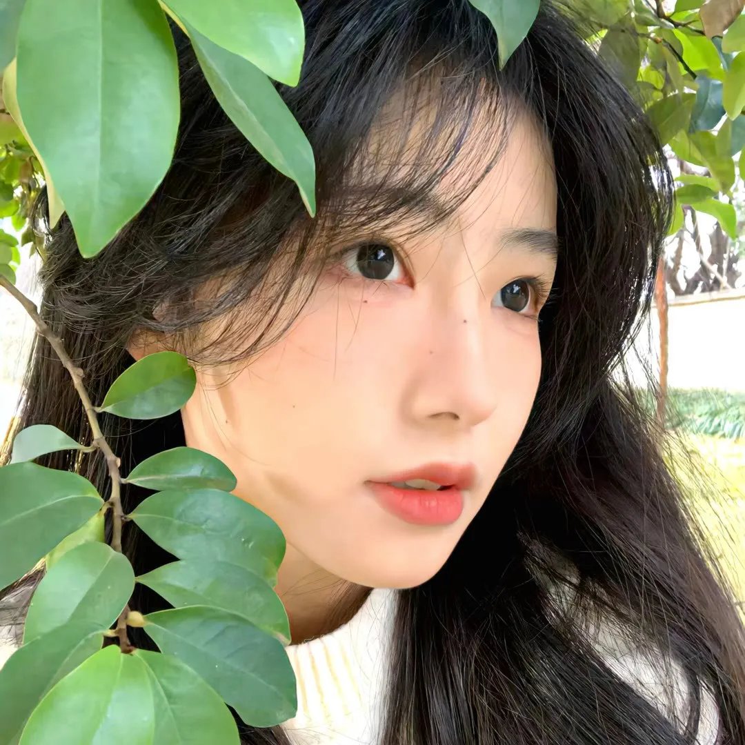 致命少女姬