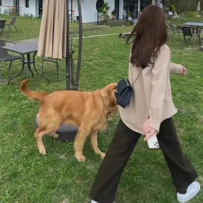 四保临江